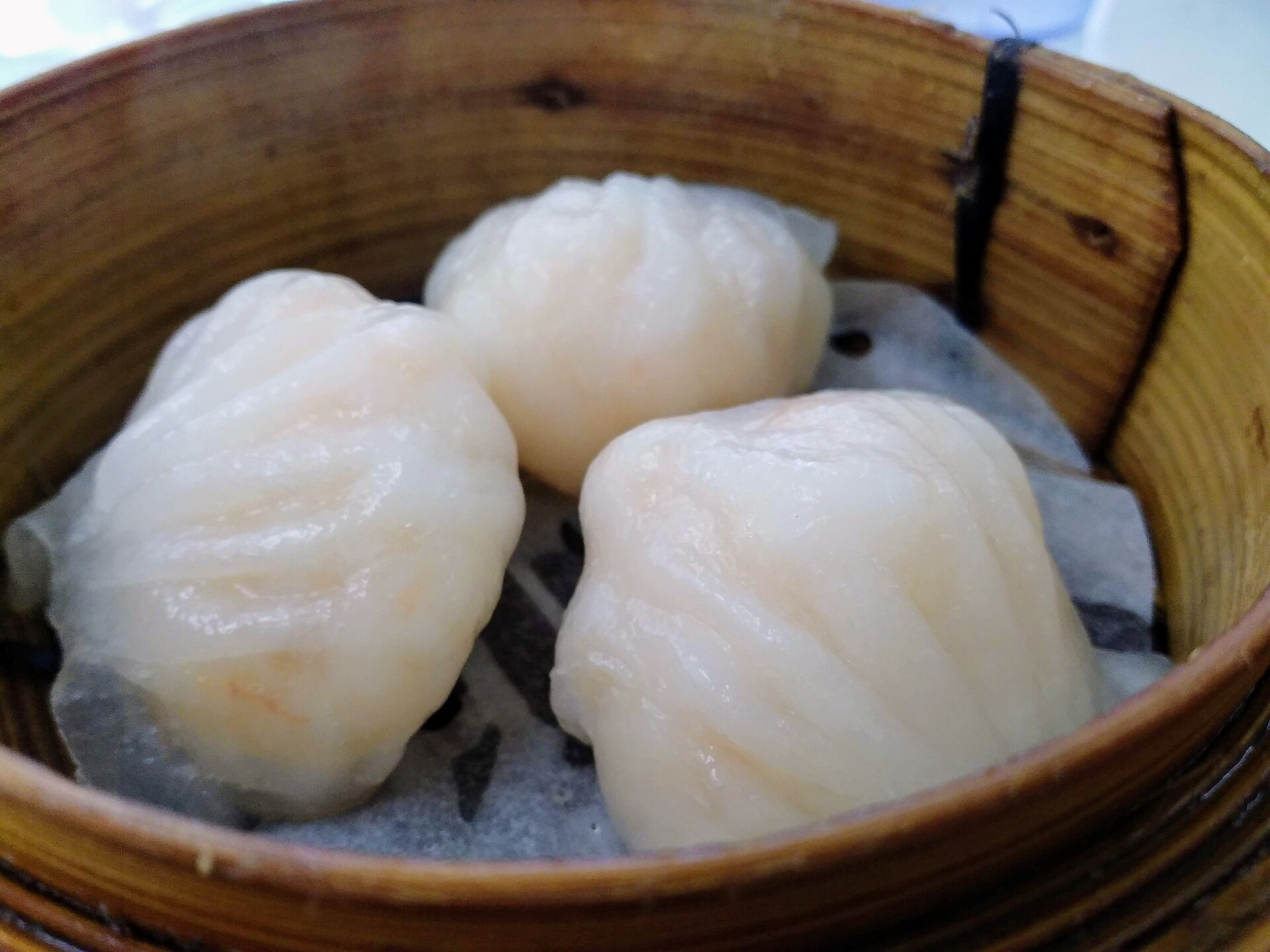 What Is Dim Sum? A Complete Beginner’s Guide to Cantonese Small Plates