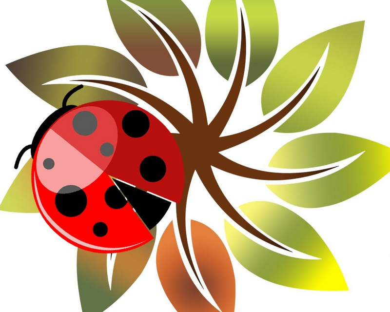 Anderson Garden Center logo