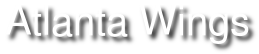 Atlanta Wings logo